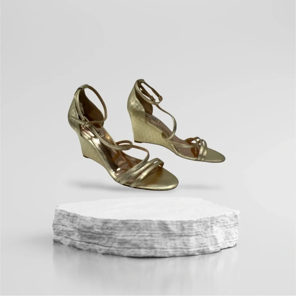 Badgley Mischka Women's Bonanza Wedge Sandal Platino/Gold size 7.5